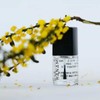 Hanami Top & Base Coat Nail Polish, 15ml