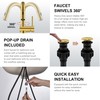 KENES Brushed Gold Single Handle Bathroom Faucet with Pull Out