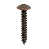 Daido Hunt Bronze Tapping Screw, Truss Head (Diameter: d) 0.1