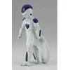 Dragon Ball Super Figurines (Frieza (Solid Edge Works))