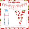 3Pcs She's the Cherry on Top Banner Cherry Themed Birthday