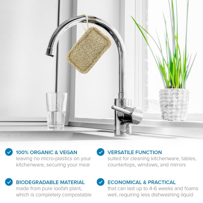 Joeji's Kitchen Pack of 8 Natural Eco Dishwasher Sponges -