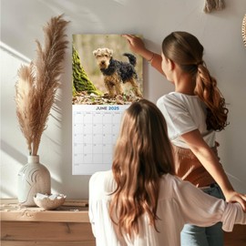 MegaCalendars - Welsh Terrier Calendar 2025 - Dog Breed Calendar