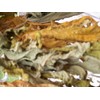 Papaya Leaf 10 Whole -Dried Organic -Pure-home Grown-10 Leaves-organic Papaya