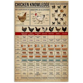 Chicken Knowledge Poster Detail About Chicken for Farmer for Friends Music Vintage Novelty Funny Home Bathroom Cottage Farm Rustic Man Cave Parlor Retro Metal Tin Sign Vintage Wall Decor 8x12 Inch