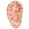Ear Sticker Acupuncture Kit 600pcs Ear Massage Sticker Acupuncture Model