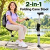 2-in-1 Folding Cane Chair for Walking and Resting – Portable