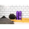 Loma Hair Care Violet Shampoo, Vanilla Bean/Blood Orange, 12 fl.