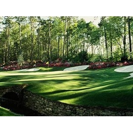 MOER SKY 5D Diamond Art Kits for Adults Kids Beginner Diamond Painting Kits, Lawn Golf Course, Full Drill Round Diamond Art for Home Wall Decor 12x16 Inch