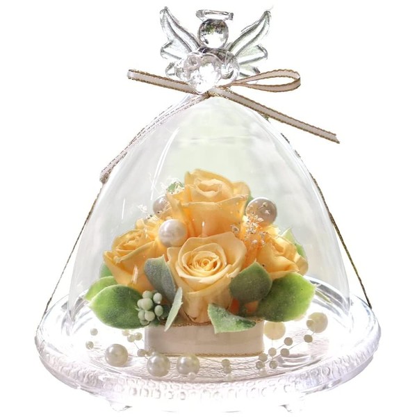 IPFA Preserved Flower Glass Dome Present Birthday Popular Female Flower Gift Angel (Peach & Champagne)