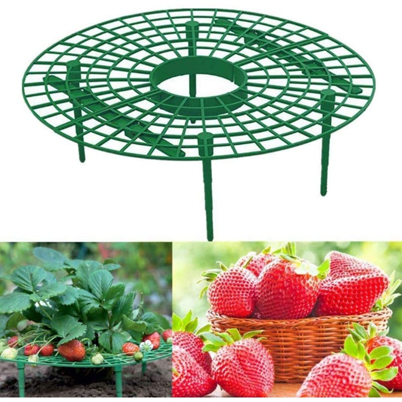 Namvo 6Pcs Strawberry Frame Stand, Plant Support Holder Planting Rack