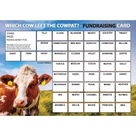 Lazy Snail 'Which Cow left the Cowpat?' Fundraising Cards - Pack of 8 Cards - 45 Squares and Fun Golden Winner Envelopes to Raise Money for Charity - Full Colour Fund Raising Cards (A5)