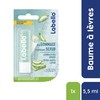 Labello Lipscrub Aloe Vera 4.8 g