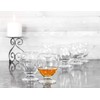 Red Co. Clear Wine Drinking Glass Goblet with Short Stem,
