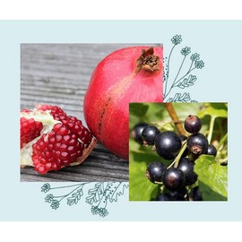 Officina Naturae Nourishing Face Cream for Face and Décolleté with Moisturising and Nourishing Organic Activities, Sustainable, Vegan, 30 ml