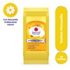 Benzal Toallets, Toallitas Humedas Íntimas, Manzanilla, Antibacterial, Paquete De 20