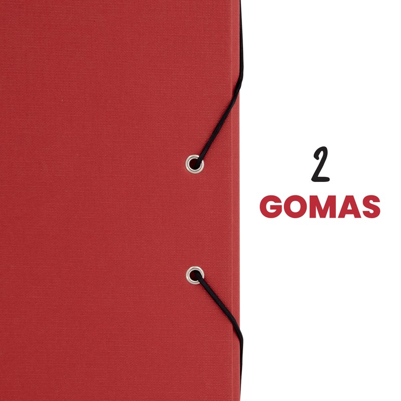 Quijote Paper World Project Folder – File Folder, Basic Colours,