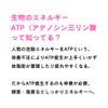 ミウラタクヤ商店 ケトジェニック ATP産生 ブースト サプリメント140粒 ビタミンB群 カルニチン マグネシウム 鉄分 亜鉛
