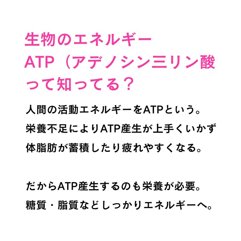 ミウラタクヤ商店 ケトジェニック ATP産生 ブースト サプリメント140粒 ビタミンB群 カルニチン マグネシウム 鉄分 亜鉛