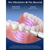 Ultrasonic Plaque Remover for Teeth - 42kHz Tartar Remover with