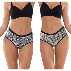 KARSWATT Washable Urine Incontinence Underwear for Women Absorbent Leak Proof Hipster Postpartum Panties 2 Pack (Medium, Leopard A-B)