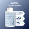 Wellthy Glicinato Magnesio 400 Cápsulas 432mg 100 Natural Puro Alta