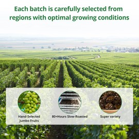 Naturebliss Premium Muscat Raisins, Nutrient-Rich Grape Dried Fruit Snacks, Chewy Texture, Natural Rose Aroma, No Sugar Added, No Preservatives, Healthy Power Gummy Snack (11 OZ/Pack of 1)