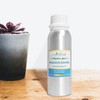 AireVerde The Ritz-Carlton Hotels Inspired Passion Samba Aromatherapy Diffuser Oil,