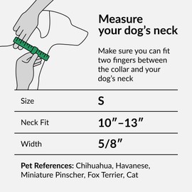 CollarDirect Floral Dog Collar Nylon Pattern Flower Print Adjustable Pet Collars for Dogs Small Medium Large Puppy (Neck Fit 10"-13", Aquamarine