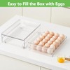 vacane 24 Capacity Egg Holder for Refrigerator Organizer Bins, Clear