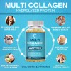 Collagen Peptides Types I, II, III, V, X 2000mg Anti-Aging