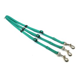 Dog Coupler/Splitter Lead Dual Walking Leash Adjustable 13mm Webbing 3 Way Splitter (Emerald Green)