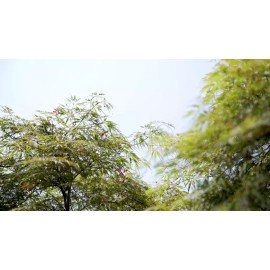 Withniture 3-Piece Black Outdoor Bistro Set, Patio Furniture Sets, Outdoor Patio Furniture