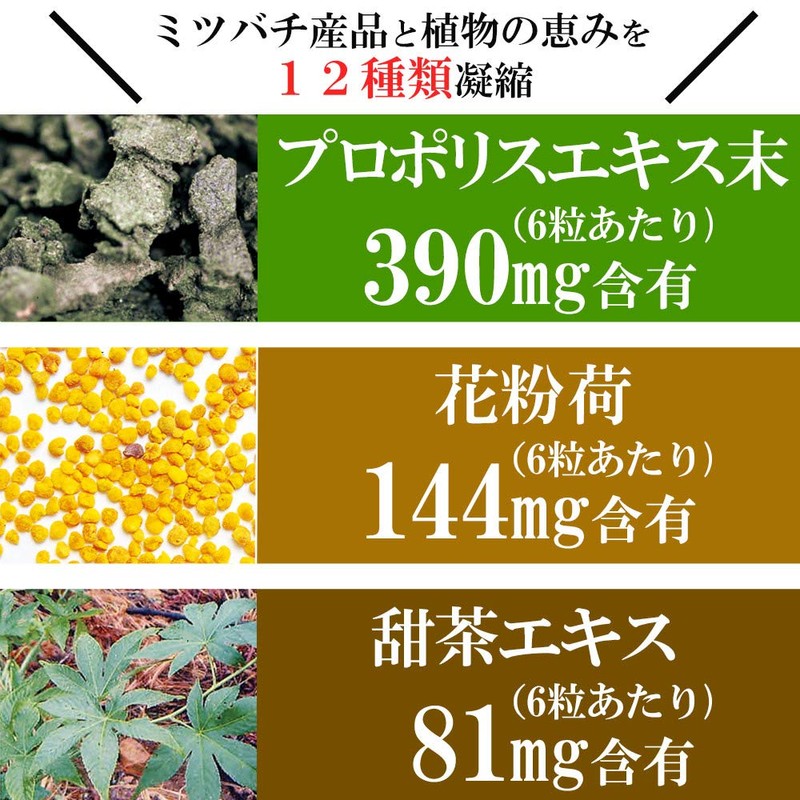 山田養蜂場 季節対策商品「花粉ハーブ」 60粒入(袋タイプ)