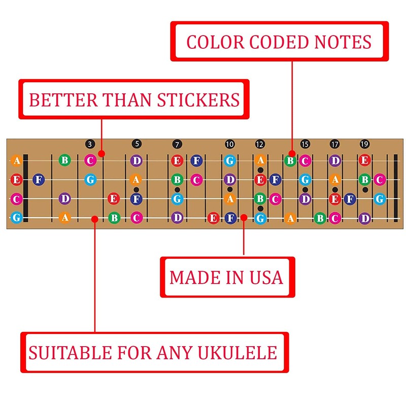 Colour Coded Ukulele Guitar Fingerboard Note Chart Learning Guitar and