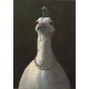 Michael Sowa Inkognito Note Card Set