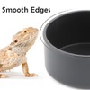 10 Pcs Small Reptile Water Bowl Food Dish Feeding Bowl