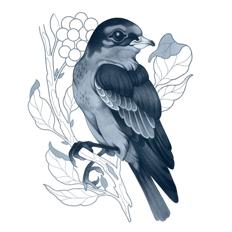 Copic Ciao Shade Set Dark Cool Grey, 3 Twin Markers