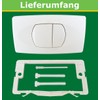 LIV Push Plate for Isosan/Verosan Flush-Mounted Cistern with 2 Quantities