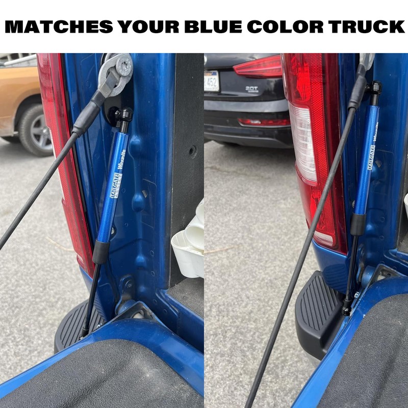 Winunite Compatible with 2015-2025 F150 Blue Tailgate Assist – Stainless