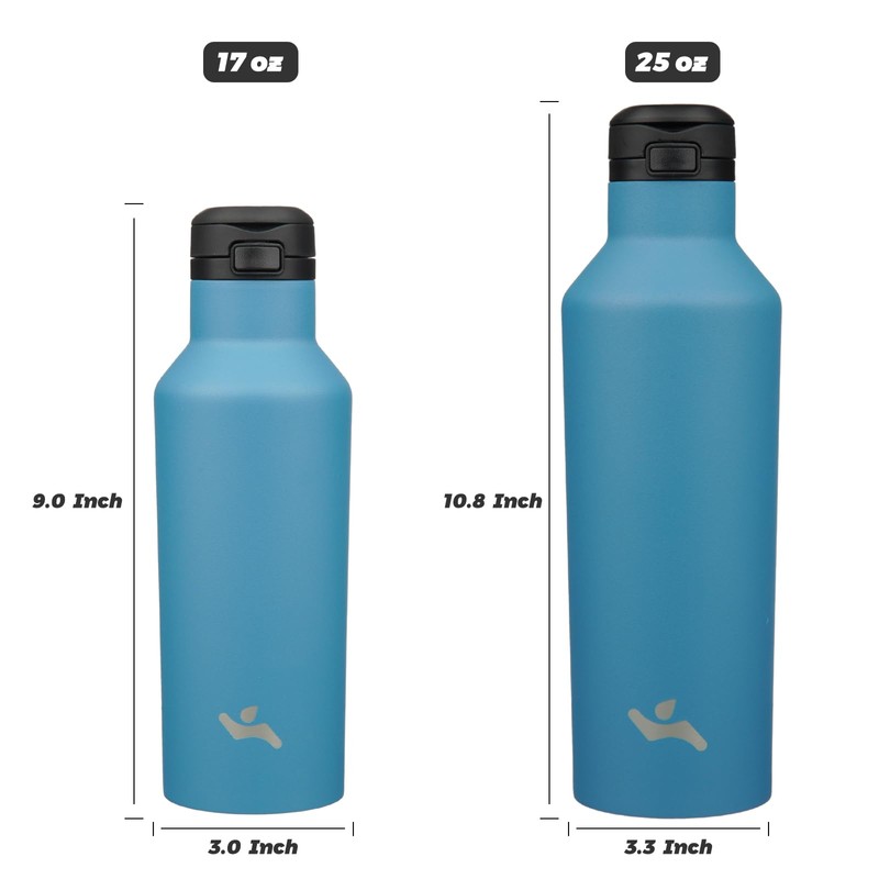 Insulated Water Bottle with Straw,25 OZ Double Wall Vacuum Stainless