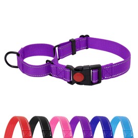 HSIGIO Martingale Dog Collar, No Slipping Out Reflective Puppy Collar with Quick Release Buckle, Heavy Duty Adjustable Dog Collar with Safety Lock for Small Medium Large Breed Dogs, Purple, S