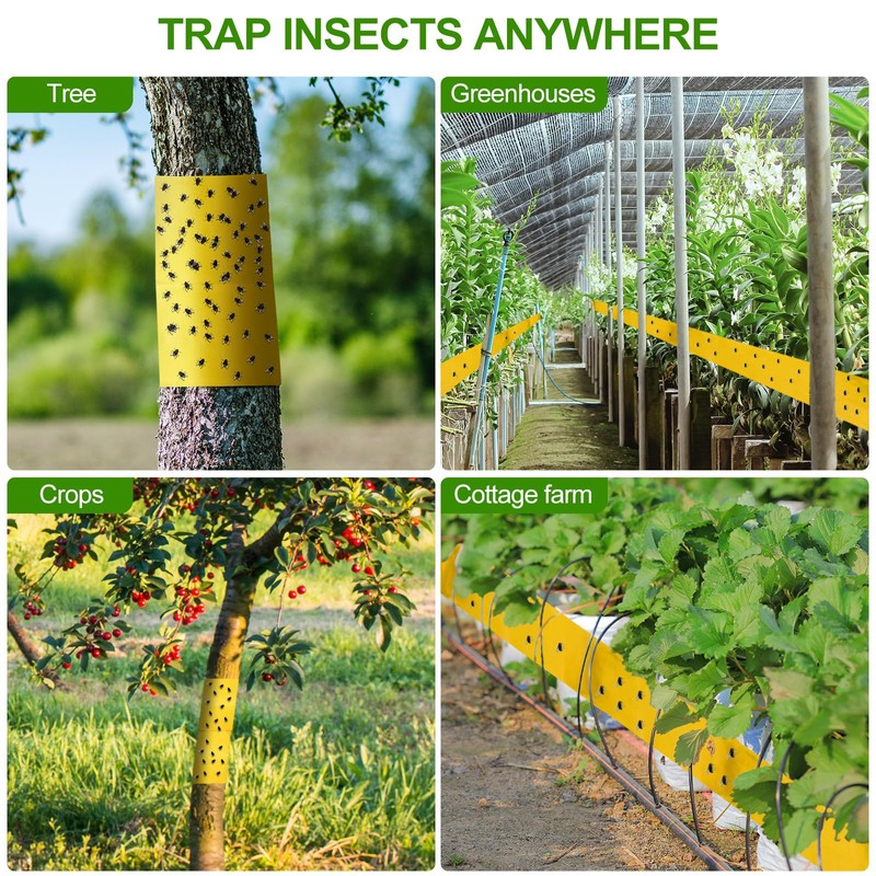 Kittmip 4 Rolls 260ft Lantern Fly Tree Tape Outdoor Adhesive