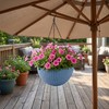 10 Inch Self-Watering Hanging Planter – Drainage