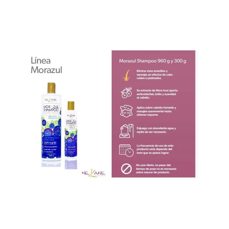Shampoo Matizador Tonos Platinados Libre De Sal 300g Nekane
