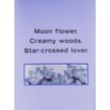 Victoria Secret Midnight Bloom Fragrance Lotion