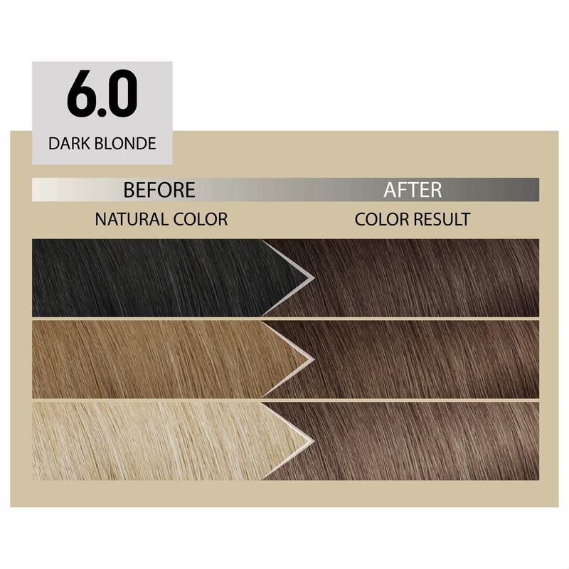 Alfaparf Milano Il Salone Plex Rebuilder Colour Kit 6.0 Dark
