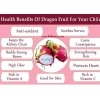 Cactus 50 Red Dragon Fruit Seeds Pitaya Pitahaya Hylocereus Undatus