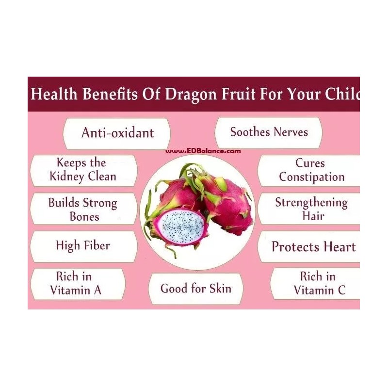 Cactus 50 Red Dragon Fruit Seeds Pitaya Pitahaya Hylocereus Undatus