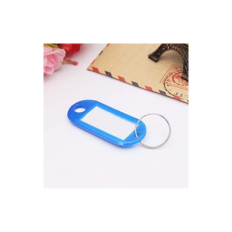 100 Pack Tough Plastic Key Tags with Label Window ID
